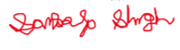 Sankalp's signature